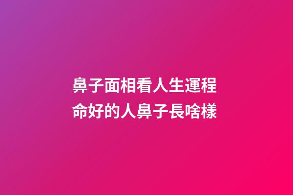 鼻子面相看人生運程 命好的人鼻子長啥樣